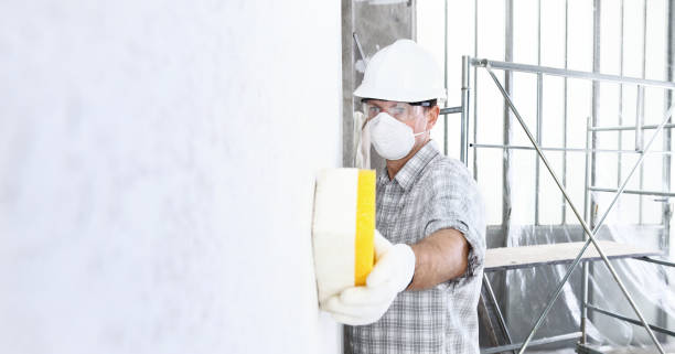 Best Mold Damage Restoration  in Hideo, UT